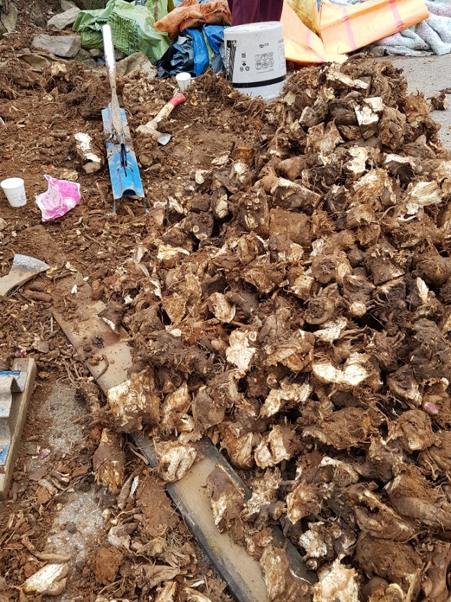 e723d34bf5ec690352a1d4bd0f6d72b2_1763302996_5173.jpg e723d34bf5ec690352a1d4bd0f6d72b2_1763302996_5173_1763303262.jpg